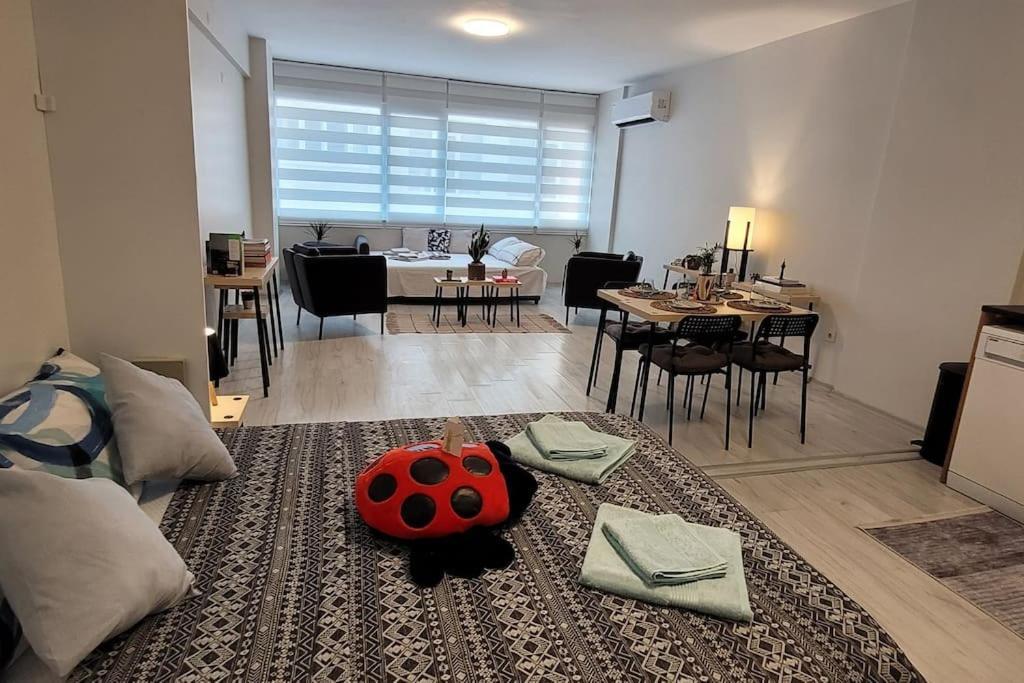 New Cosy Studio In The Heart Of Kadikoy Apartament *